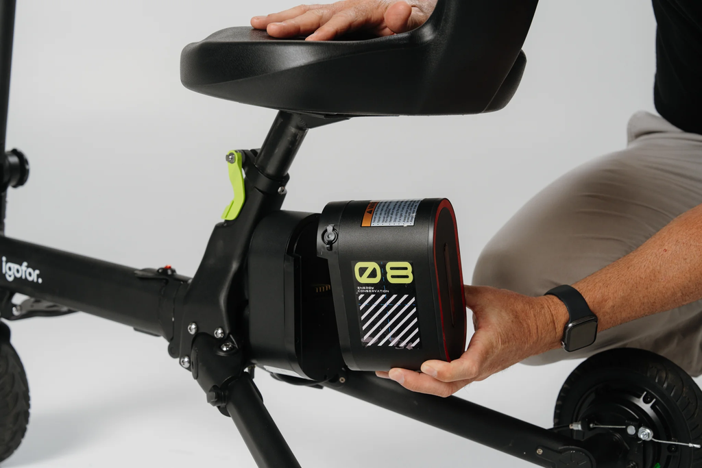 Igofor EM301 removable lithium battery